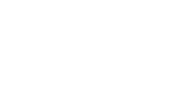 thank you HURRICANEs fans!
