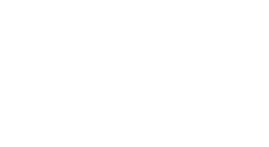 thank you Mustangs fans!