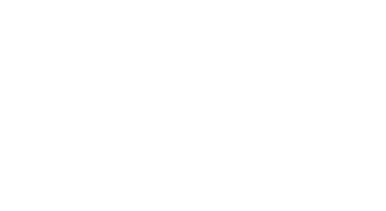 thank you Dolphins fans! 