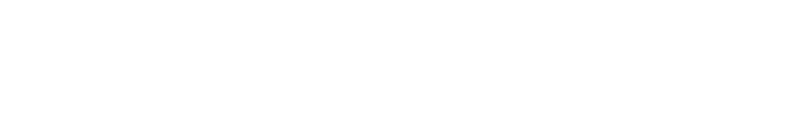 SEAHOLM BROTHERS & TWINS 