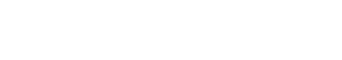 SEAHOLM BROTHERS & TWINS 