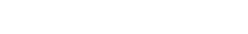 south paulding VARSITY cheer TEAM