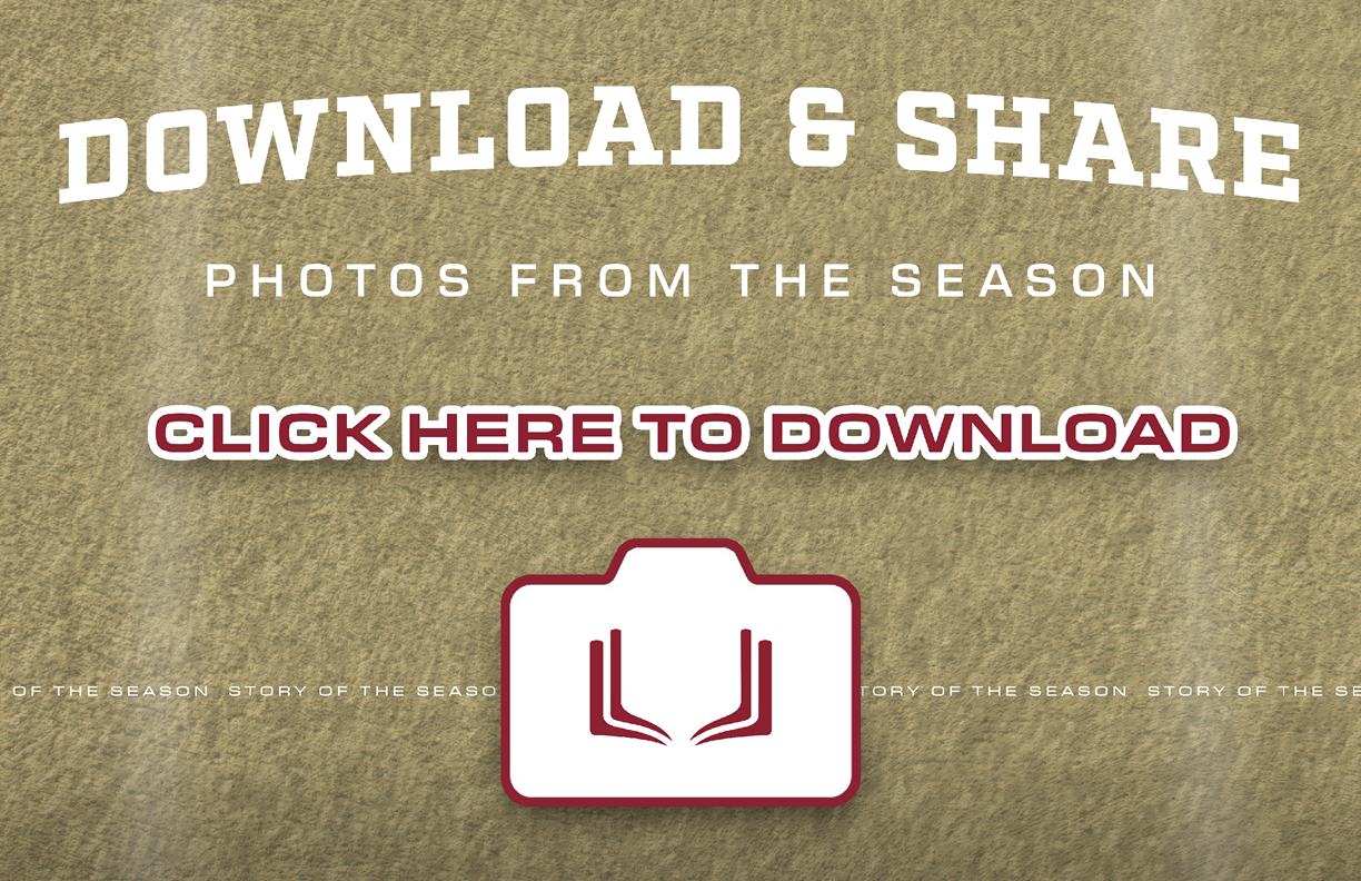 $$$/StateType/Normal