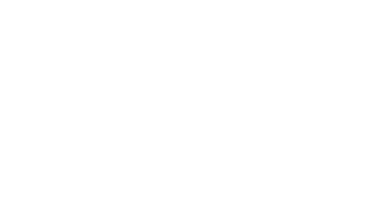 thank you patriots fans!