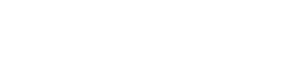 2024 CHAMPION