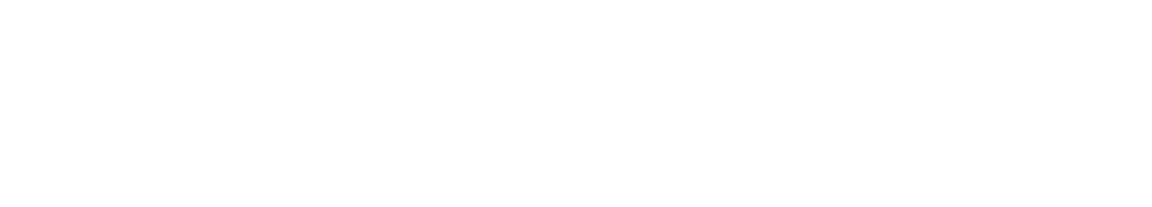 SENIOR INTERVIEW: ARMONI