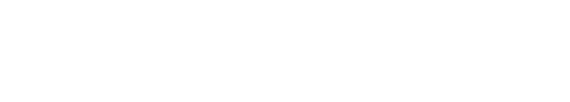 SENIOR INTERVIEW: ARMONI