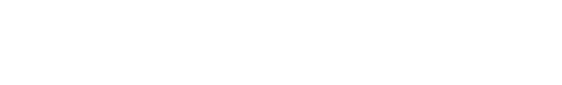 Lincoln park vs Latin highlight