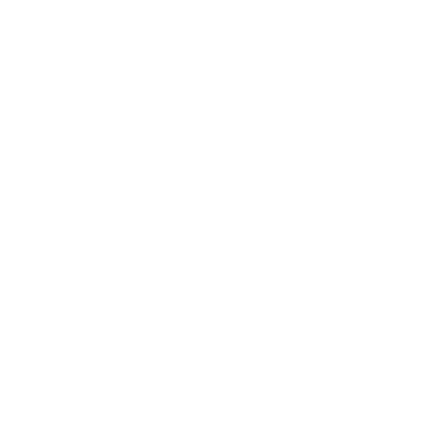 MEDIA DAY