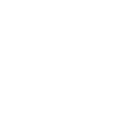 MEDIA DAY