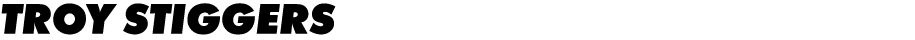 Troy Stiggers